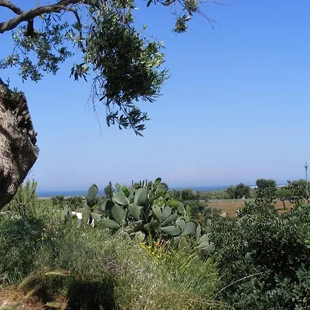 Masseria Pelosella