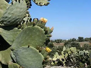 Masseria Pelosella Fasano