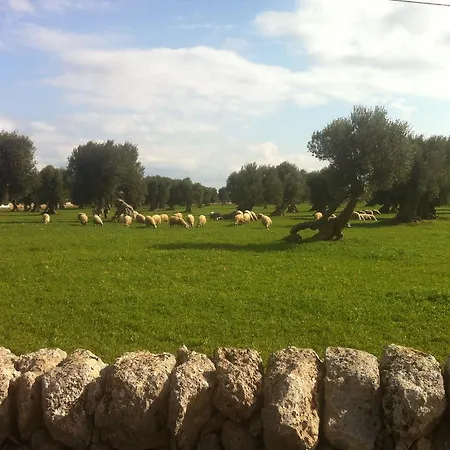 Bed & Breakfast Masseria Pelosella 3*