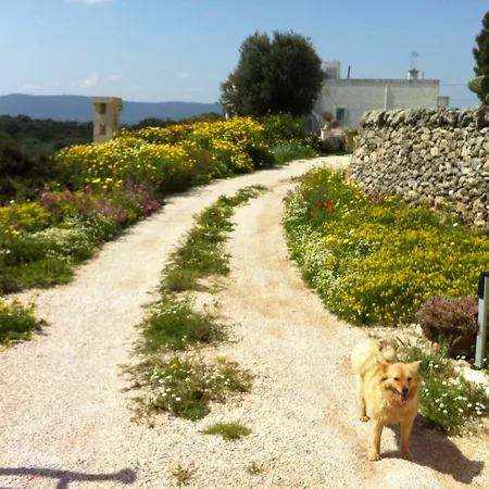 Bed & Breakfast Masseria Pelosella